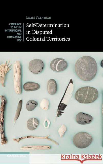 Self-Determination in Disputed Colonial Territories Jamie Trinidad 9781108418188 Cambridge University Press - książka