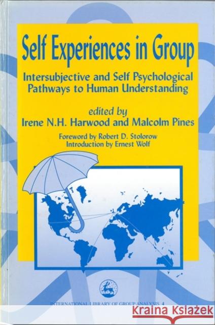 Self Experiences in Group Intersubjective and Self Psychological Pathways to Human Understanding Harwood, Irene 9781853025976 Jessica Kingsley Publishers - książka