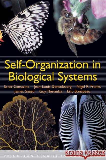 Self-Organization in Biological Systems Eric Bonabeau 9780691116242 PRINCETON UNIVERSITY PRESS - książka