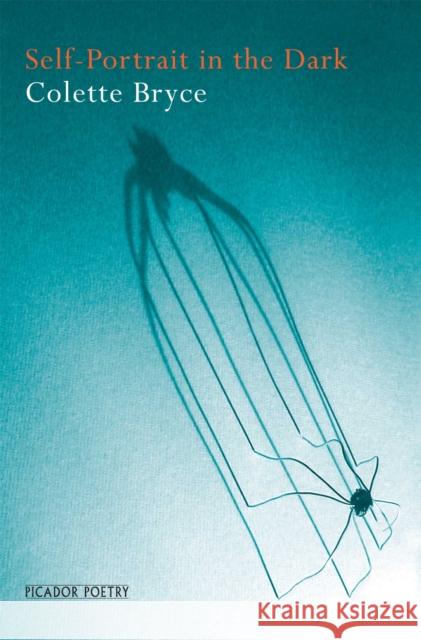 Self-Portrait in the Dark Colette Bryce   9781509839087 Picador - książka