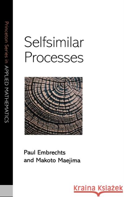 Selfsimilar Processes Paul Embrechts 9780691096278 Princeton University Press - książka