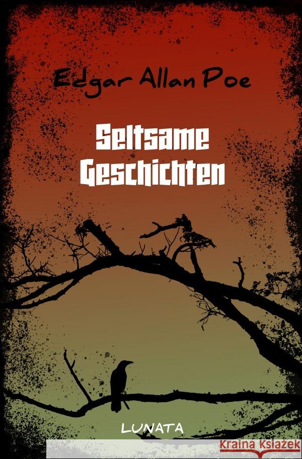Seltsame Geschichten Poe, Edgar Allan 9783753167220 epubli - książka