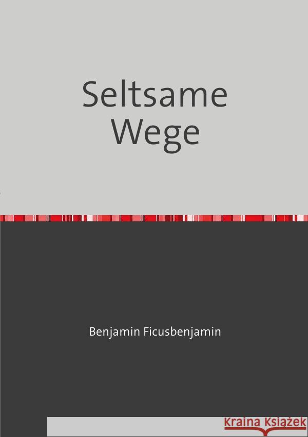 Seltsame Wege Witter, Heinz 9783818733964 epubli - książka