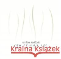 Sem cejtila les Kateřina Kováčová 9788087370155 Perplex - książka