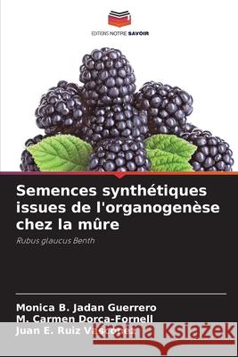 Semences synthétiques issues de l'organogenèse chez la mûre Jadan Guerrero, Monica B., Dorca-Fornell, M. Carmen, Ruiz Vasconez, Juan E. 9786208958589 Editions Notre Savoir - książka