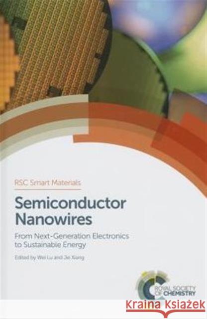 Semiconductor Nanowires: From Next-Generation Electronics to Sustainable Energy  9781849738156 Royal Society of Chemistry - książka