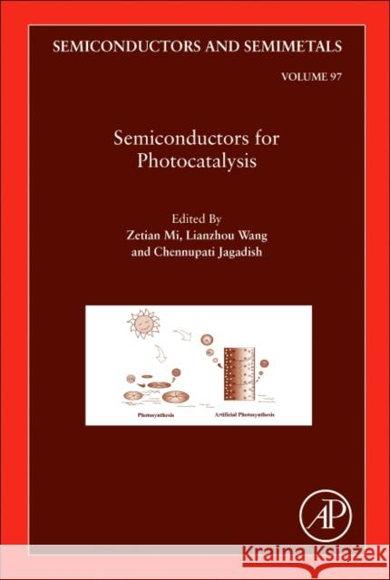 Semiconductors for Photocatalysis: Volume 97 Mi, Zetian 9780128117279 Academic Press - książka