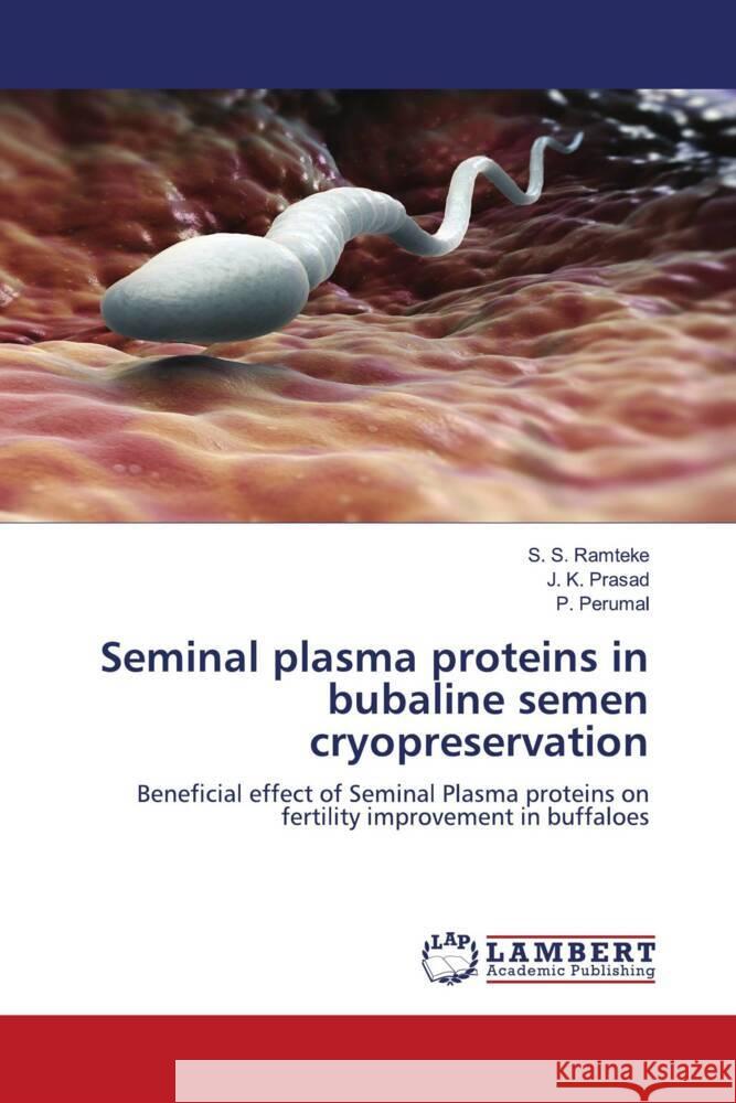 Seminal plasma proteins in bubaline semen cryopreservation Ramteke, S. S., Prasad, J. K., Perumal, P. 9786204735702 LAP Lambert Academic Publishing - książka