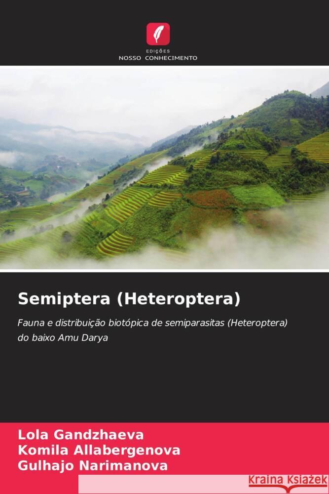 Semiptera (Heteroptera) Gandzhaeva, Lola, Allabergenova, Komila, Narimanova, Gulhajo 9786205420232 Edições Nosso Conhecimento - książka