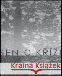 Sen o kříži Michaela Tůmová 9788090310681 Jitro - książka