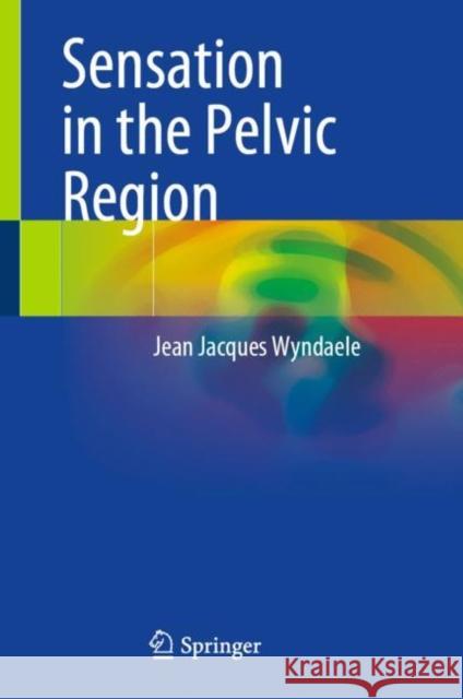 Sensation in the Pelvic Region Jean Jacques Wyndaele 9783031169632 Springer - książka