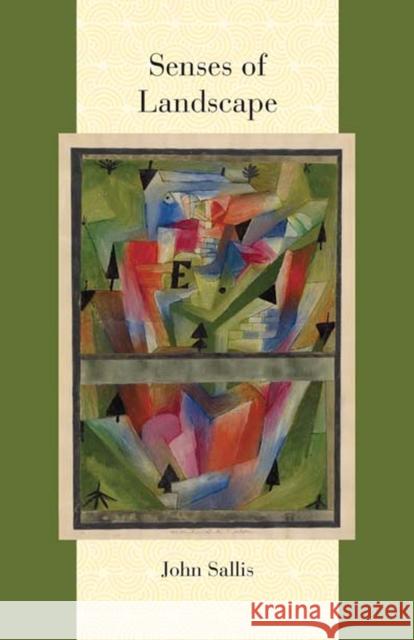 Senses of Landscape John Sallis 9780810131095 Northwestern University Press - książka