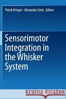 Sensorimotor Integration in the Whisker System Patrik Krieger Alexander Groh 9781493944446 Springer - książka