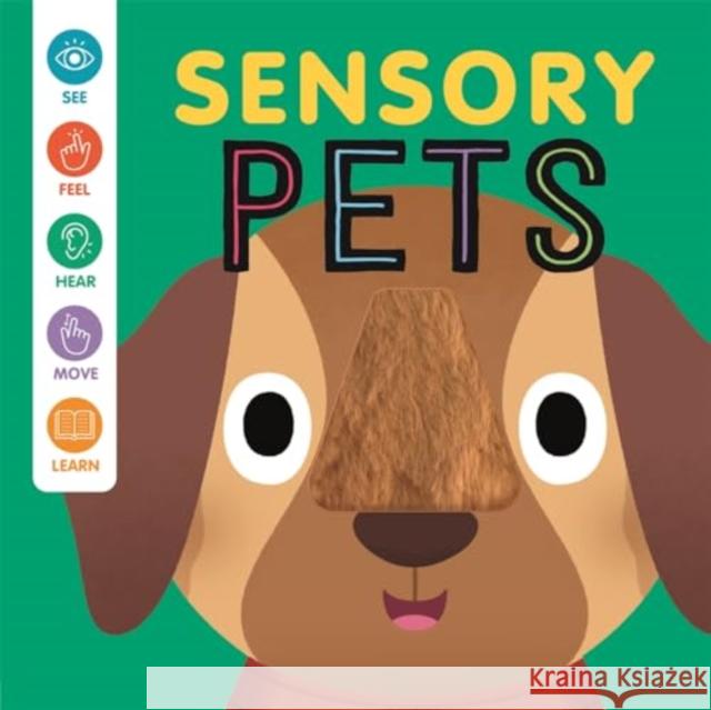 Sensory Pets Autumn Publishing 9781837951659 Bonnier Books Ltd - książka