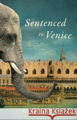 Sentenced to Venice Kake Huck 9781945587375 Karen Huck - książka
