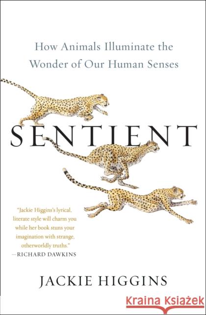 Sentient: How Animals Illuminate the Wonder of Our Human Senses Jackie Higgins 9781982156565 Atria Books - książka