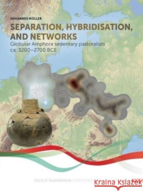 Separation, hybridisation, and networks Johannes Muller 9789464270488 Sidestone Press - książka