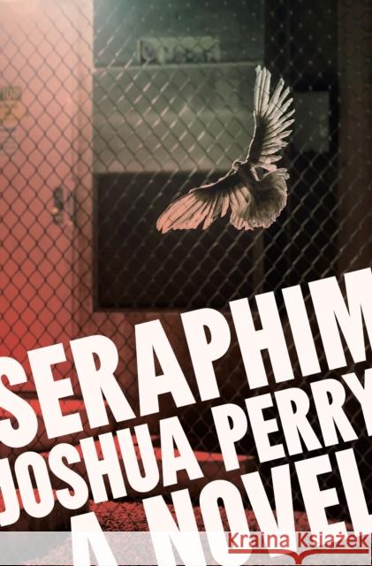 Seraphim Joshua Perry 9781685891138 Melville House Publishing - książka