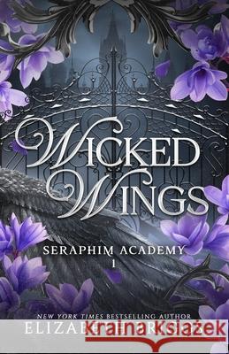 Seraphim Academy 1: Wicked Wings Elizabeth Briggs 9781677399840 Independently Published - książka