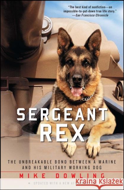 Sergeant Rex: The Unbreakable Bond Between a Marine and His Military Working Dog Mike Dowling Damien Lewis 9781451635973 Atria Books - książka