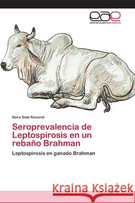 Seroprevalencia de Leptospirosis en un rebaño Brahman Soto Reverol, Nora 9783659060625 Editorial Academica Espanola - książka