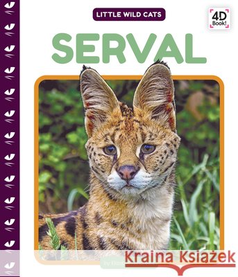 Serval Elizabeth Andrews 9781098249434 Cody Koala - książka