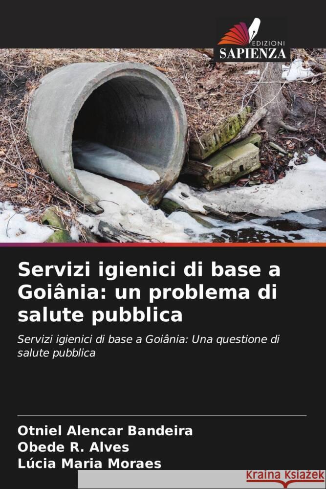 Servizi igienici di base a Goiânia: un problema di salute pubblica Alencar Bandeira, Otniel, R. Alves, Obede, Maria Moraes, Lúcia 9786208566692 Edizioni Sapienza - książka
