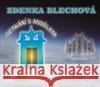 Setkání s andělem v Digipacku - audiobook Zdenka Blechová 8594163770112 Nakladatelství Zdenky Blechové