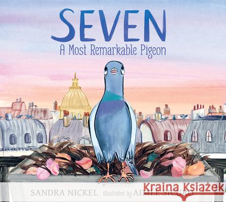 Seven: A Most Remarkable Pigeon Sandra Nickel Aim?e Sicuro 9781536235197 Candlewick Press (MA) - książka