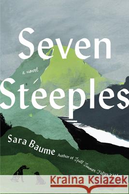 Seven Steeples Sara Baume 9780358629238 Mariner Books - książka