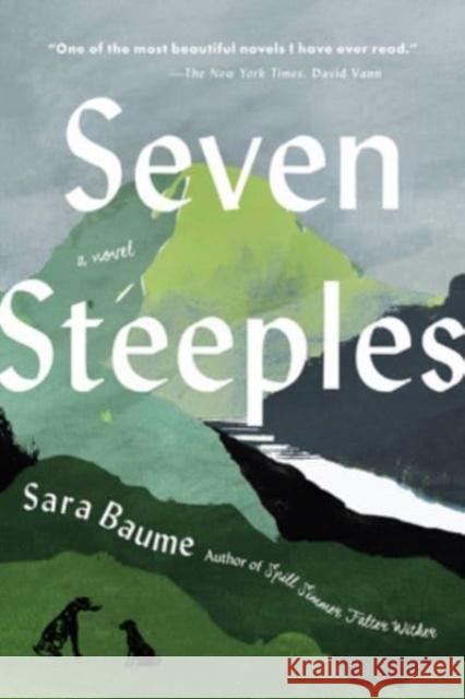 Seven Steeples: A Novel Sara Baume 9780063268685 HarperCollins - książka