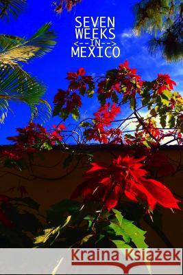 Seven Weeks in Mexico: Bufogenesis, Book 1 Jack X. Sawyer 9781791801700 Independently Published - książka