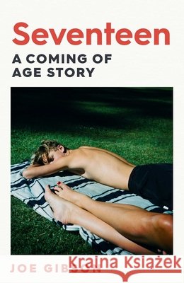 Seventeen: The shocking true story of a teacher's affair with her student Joe Gibson 9781398522473 Simon & Schuster Ltd - książka