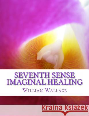 Seventh Sense Imaginal Healing: An homage to Dr. Richard Bartlett, Benjamin Bibb, Barbara Ann Brennan, Donna Eden, Dr. Meg Blackburn Losey, Dr. Gerald Wallace, William 9781478329824 Createspace - książka