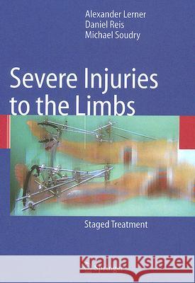 Severe Injuries to the Limbs: Staged Treatment Lerner, Alexander 9783540698920 Springer - książka