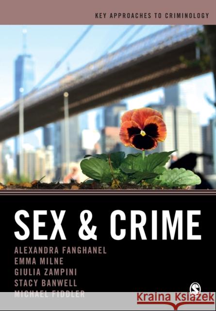 Sex and Crime Alexandra Fanghanel Giulia Federica Zampini Emma Milne 9781526491121 SAGE Publications Ltd - książka