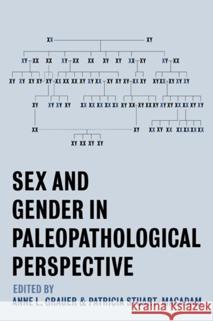 Sex and Gender in Paleopathological Perspective Anne L. Grauer Patricia Stuart-Macadam 9780521021210 Cambridge University Press - książka