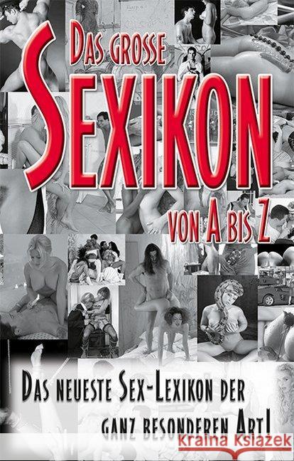 Sexikon von A - Z : Das Sex-Lexikon der besonderen Art Stein, Ina 9783798609433 Carl Stephenson Verlag - książka