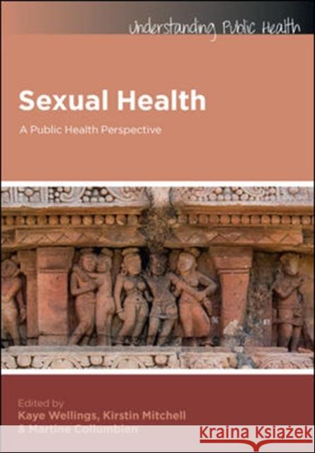 Sexual Health: A Public Health Perspective Kaye Wellings 9780335244812  - książka