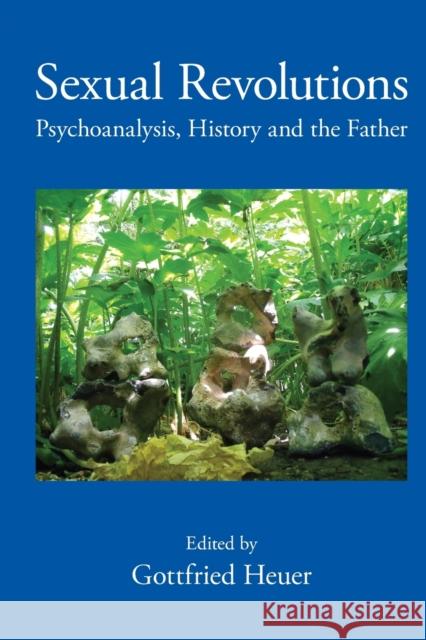 Sexual Revolutions: Psychoanalysis, History and the Father Heuer, Gottfried 9780415570442  - książka
