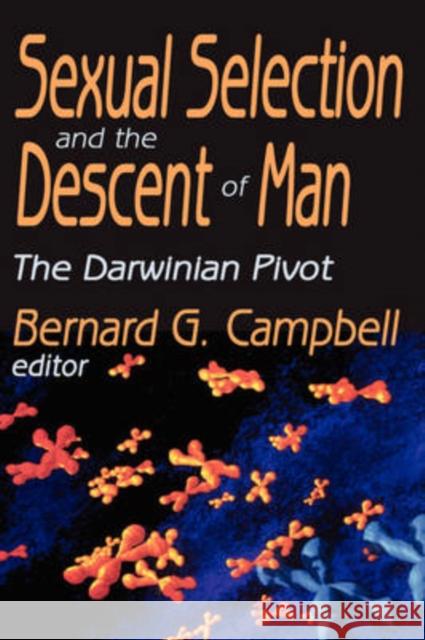 Sexual Selection and the Descent of Man : The Darwinian Pivot Bernard Grant Campbell 9780202308456 Transaction Publishers - książka