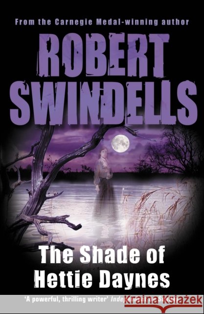 Shade of Hettie Daynes  Swindells, Robert 9780552572996  - książka