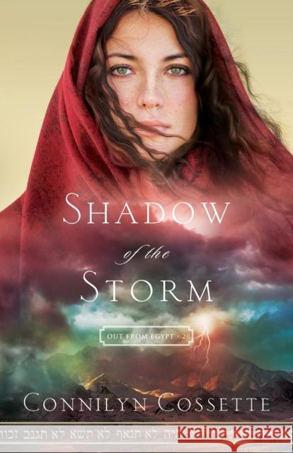 Shadow of the Storm Connilyn Cossette 9780764218217 Bethany House Publishers - książka