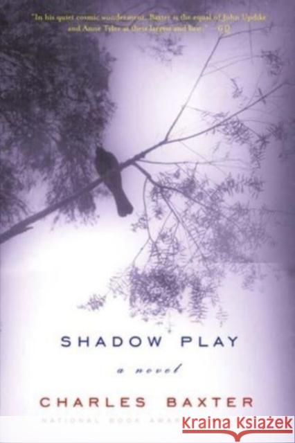 Shadow Play Charles Baxter 9780393322743 W. W. Norton & Company - książka