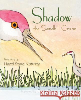 Shadow the Sandhill Crane Hazel Keays Northey Dotty Schenk  9781945805219 Bedazzled Ink Publishing Company - książka