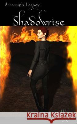 Shadowrise D. E. Halligan 9781501094828 Createspace - książka