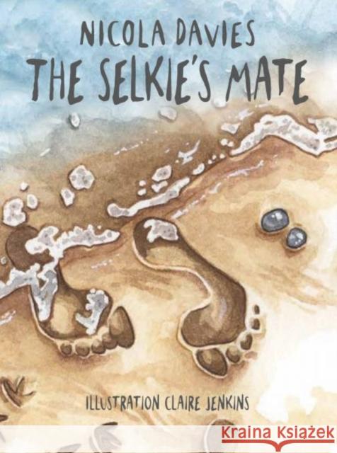 Shadows and Light: The Selkie's Mate Nicola Davies 9781913733483 Graffeg Limited - książka