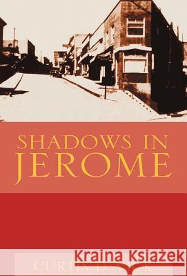 Shadows in Jerome Curtis D. Vick 9781413419580 Xlibris Corporation - książka