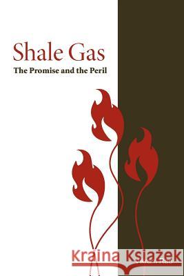 Shale Gas: The Promise and the Peril Vikram Ra 9781934831106 Rti International / Rti Press - książka