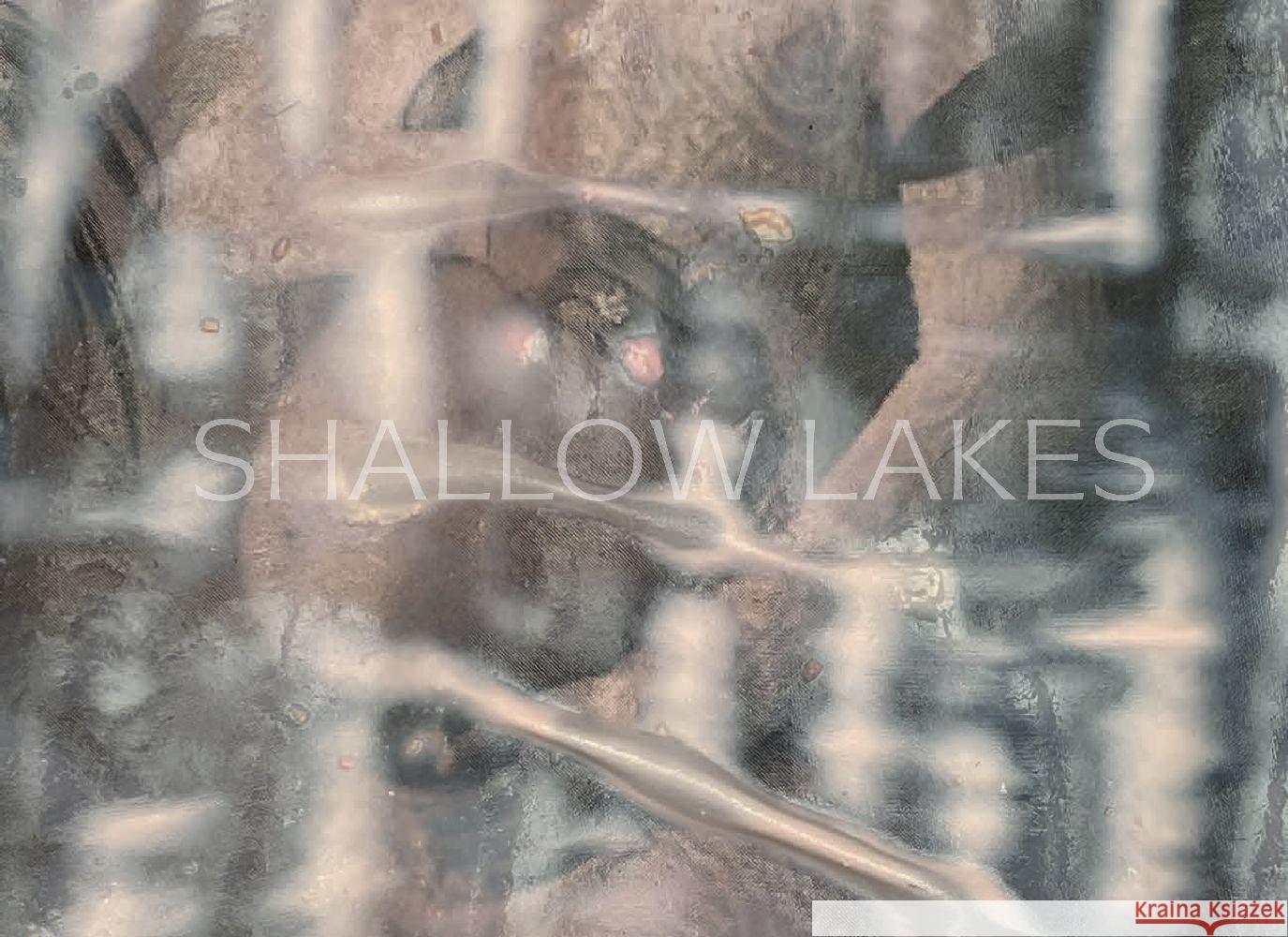 shallow lakes Kara, Melike 9783954766451 Distanz Verlag - książka